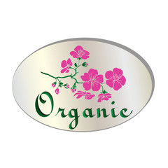natural  organic flower icon vector