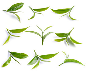Green tea leaf isolated on white background