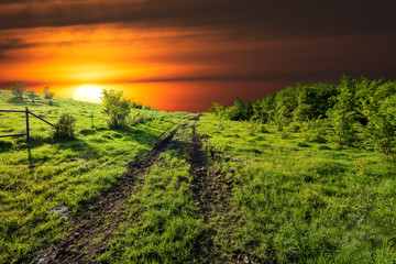 Naklejka premium Sunset on Sugar Ridge Road, Ennis, TX