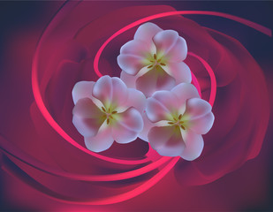 pink illustration with three flowers