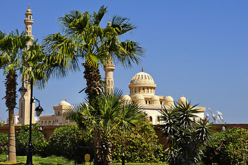 Mosque among palm trees in Hurghada, Egypt © tillottama