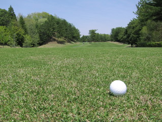 ゴルフボール