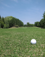 ゴルフボール