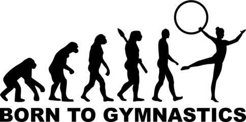 Evolution Gymnastics Hoop