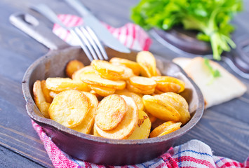 fried potato
