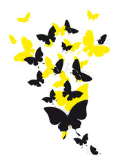 butterflies design