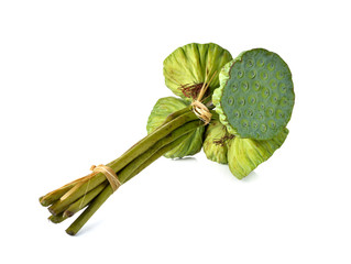 Lotus seeds and pods of lotus on white background © yodaswaj