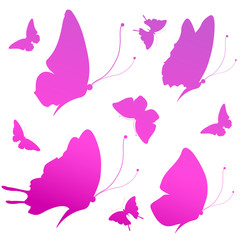 butterflies design