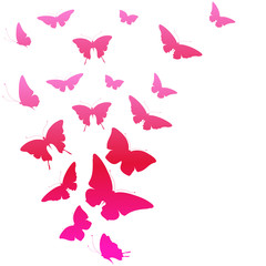 butterflies design