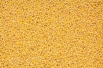 organic millet seeds