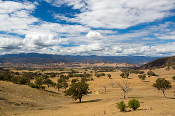 Fototapeta na wymiar Australian Rural Scene near Snowy Mountains
