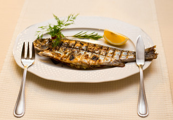 Grilled trout