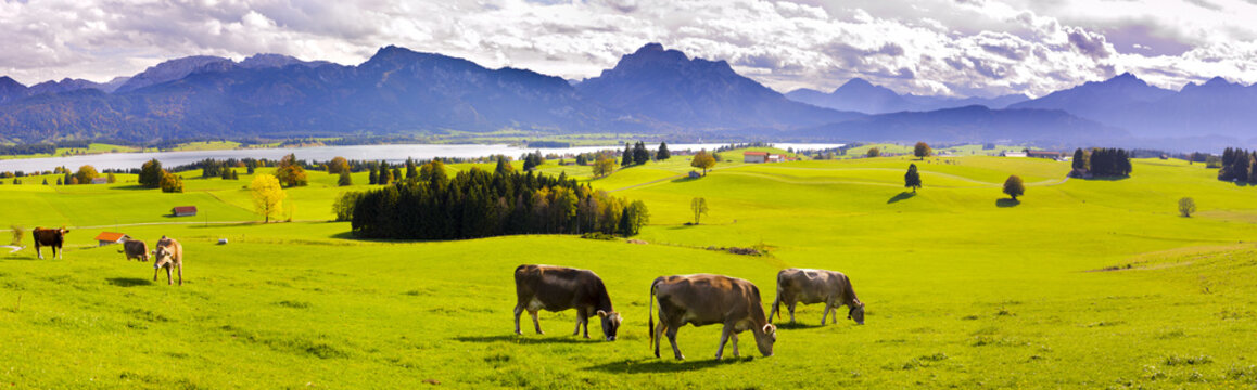 Panorama Landschaft in Bayern mit Alpen am Forggensee