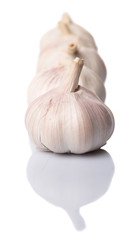 Garlic over white background
