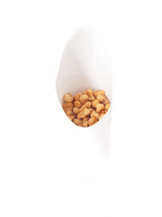 toasted corn kernels