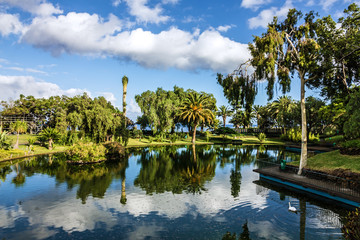 Fototapeta na wymiar Park lake, Funchal city garden, Madeira island, Portugal
