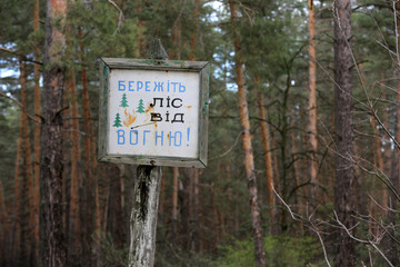 Obraz premium information board in forest