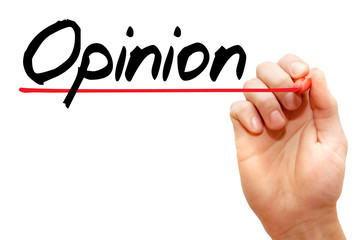 Hand writing Opinion with marker, business concept