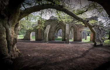 Photo sur Plexiglas Rudnes Abbaye en ruine de Margam Park