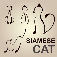 Siamese Cat Line