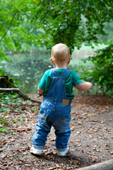 toddler boy having fun in a beautiful summer forest