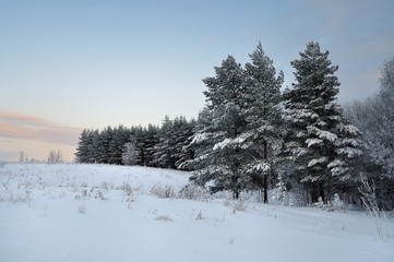 Winter landscape