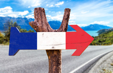 France Flag wooden sign with road background