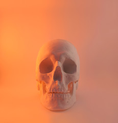 Red light skull front view.