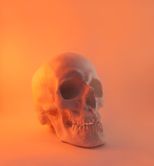 Red light skull angle view.