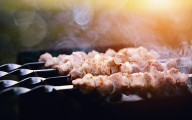 Grilling a delicious shashlik