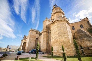 Fototapeta na wymiar Scenic view of the famous Olite castle, Navarra, Spain.