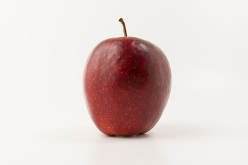 the fruits