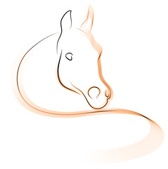 Elegant horse © vitanovski