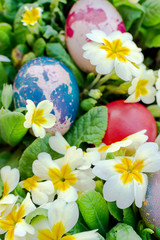 Colorful Easter eggs