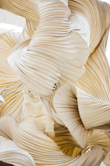 Abstract shapes of a paper ornamental object, like a sculpture © Belphnaque