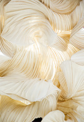 Abstract shapes of paper ornamental object © Belphnaque
