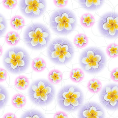 Background of tropical flowers plumeria