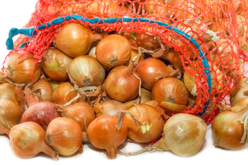 Red onion in a bag