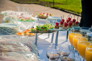 Table with cold snacks and tableware on luxury stand-up party