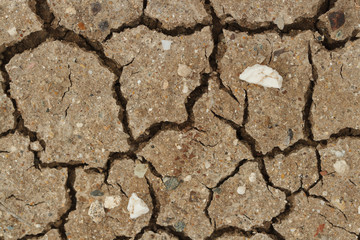 background of cracked dry soil macro