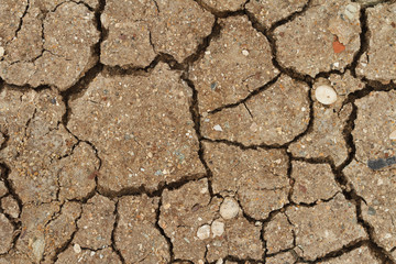 cracked dry soil closeup. horizontal