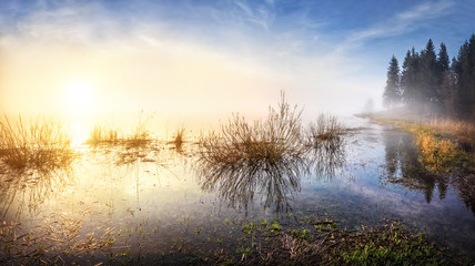 Золотой рассвет Golden Dawn