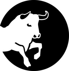 Bull in front of moon