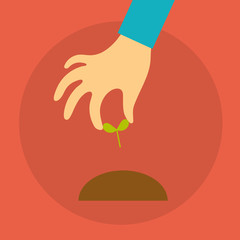 hand of a person holding seedlings