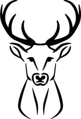 Deer Head on white background