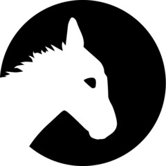 Donkey in front of moon