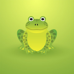 Small green frog on a light background