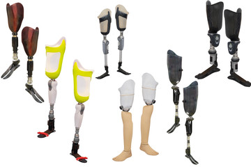 walking stick