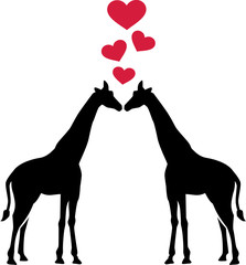 Fototapeta na wymiar Giraffes in Love