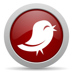 twitter red glossy web icon